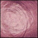 English Lavender, 30ml Jar, Primary Elements Arte-Pigment