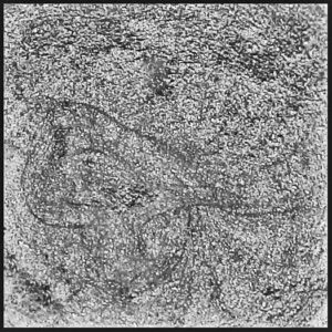 True Silver "Dry" Ground Metal Mica Blend for Paint 30ml Jar