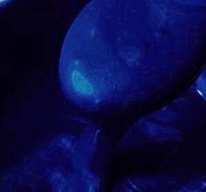 Payne's Gray ,Acrylic Paint , Fluid art, Blue, Gray