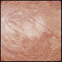 Almond Beige, 15ml Jar, Primary Elements Arte-Pigment