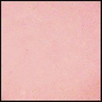 Baby's Breath, 15ml Jar, Primary Elements Arte-Pigment