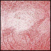 Chiffon Pink, 15ml Jar, Primary Elements Arte-Pigment