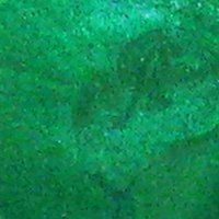 Douglas Fir, 15ml Jar, Primary Elements Arte-Pigment