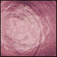 English Lavender, 15ml Jar, Primary Elements Arte-Pigment