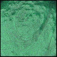 Fresh Oregano, 15ml Jar, Primary Elements Arte-Pigment