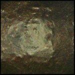 Golden Bamboo, 15ml Jar, Primary Elements Arte-Pigment