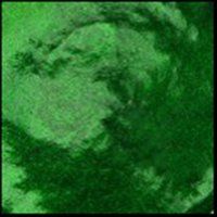 Mallard Green, 15ml Jar, Primary Elements Arte-Pigment