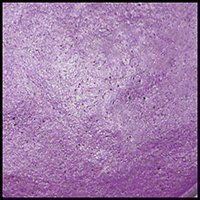 Plum Blossom, 15 ml Jar Primary Elements Arte-Pigment