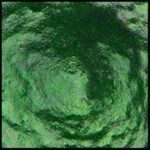 Rain Forest, 30ml Jar, Primary Elements Arte-Pigment