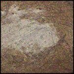 Rich Cocoa, 30ml Jar, Primary Elements Arte-Pigment