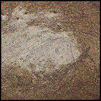 Rich Cocoa, 15 ml Jar Primary Elements Arte-Pigment