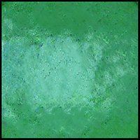 Winter Mint, 15 ml Jar Primary Elements Arte-Pigment