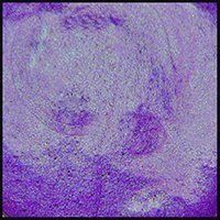 Wisteria, 15ml Jar, Primary Elements Arte-Pigment