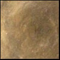 Warm Gray, 30ml Jar, Primary Elements Arte-Pigment